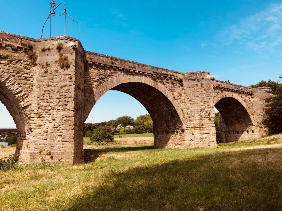 Appartement Vue Cite Medievale Carcassonne Zewnętrze zdjęcie